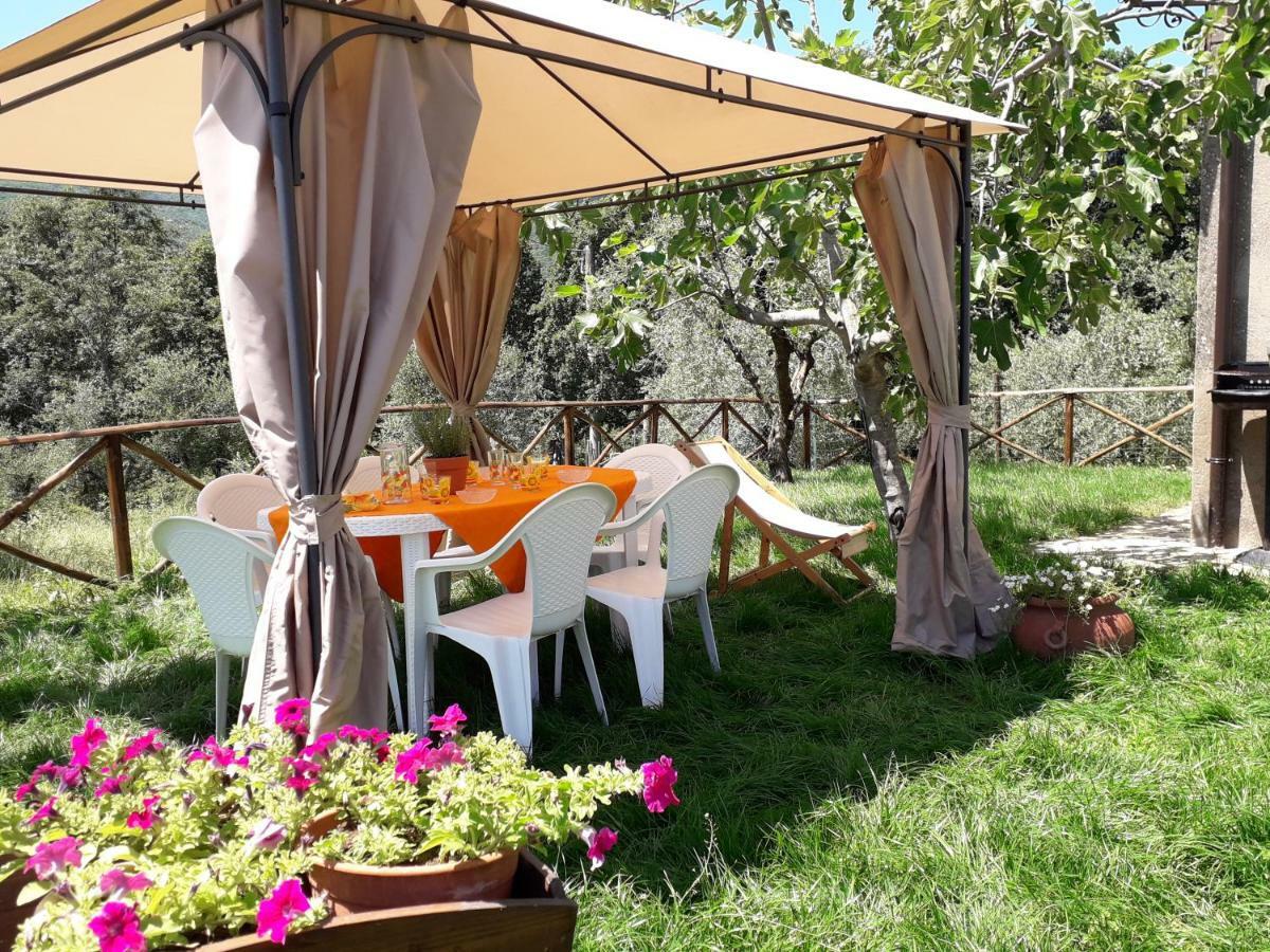 Alle Preci Country House Santa Restituta Екстериор снимка
