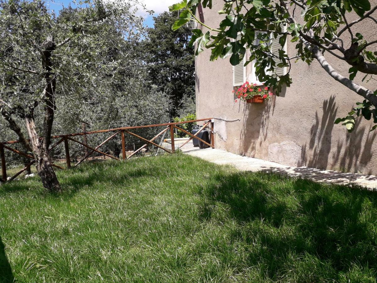 Alle Preci Country House Santa Restituta Екстериор снимка