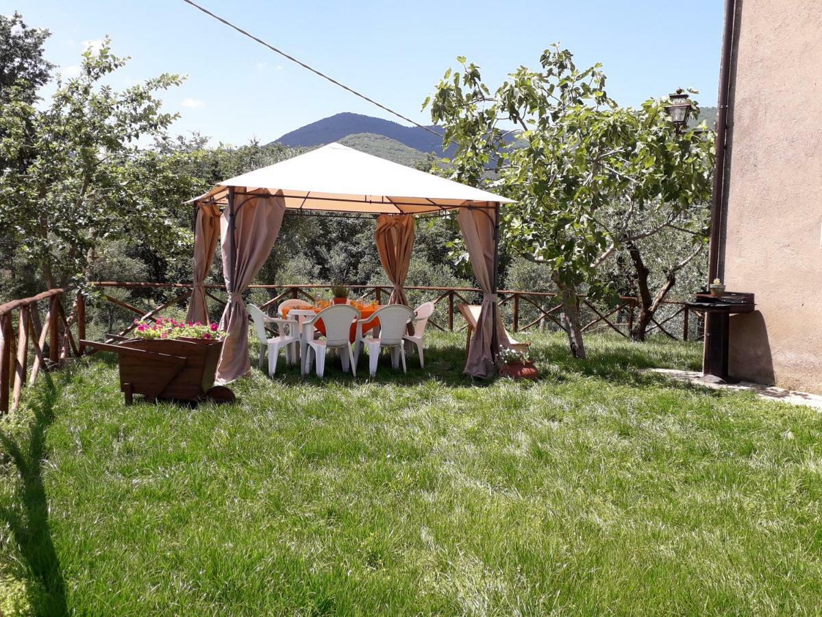 Alle Preci Country House Santa Restituta Екстериор снимка